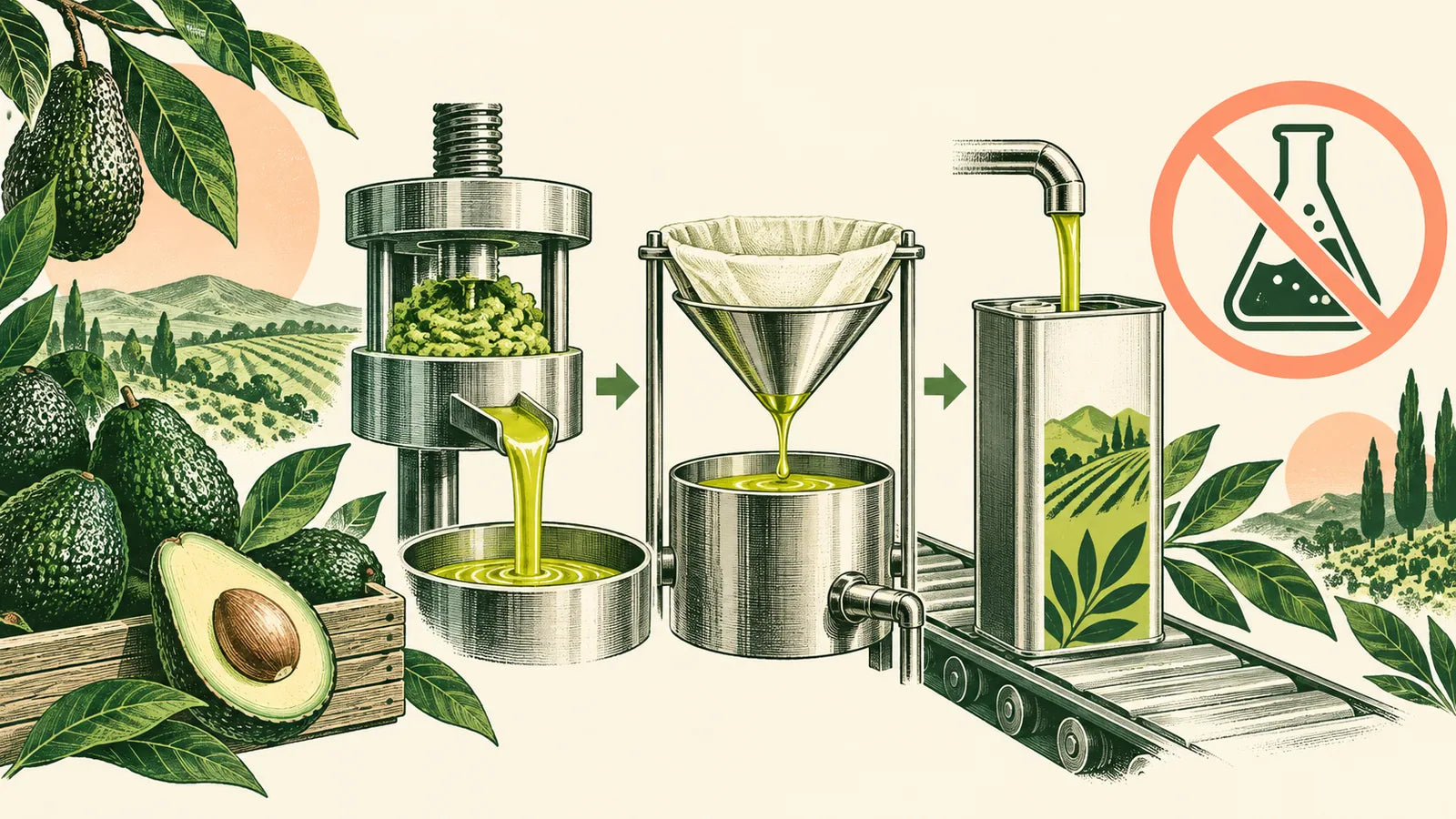 Zero hexane: how most oil is extracted, and how ours differs